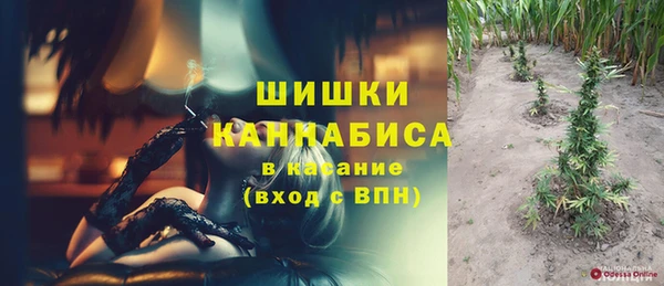СК Аркадак